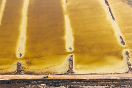 Yellow Truck