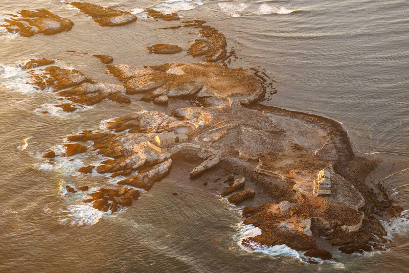 Año Nuevo Island